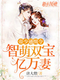 帝少追缉令天才萌宝亿万妻29