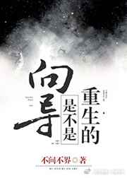 向导是不是重生的攻受