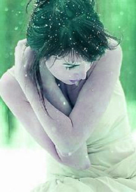 绿雪芽哪个系列的茶值得购买