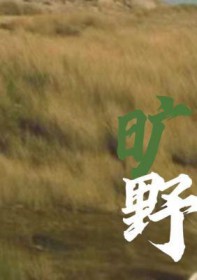 旷野拼音