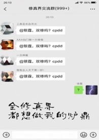全修真界的人都想抢我家崽儿